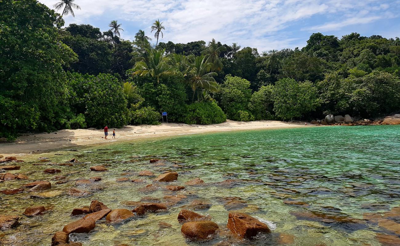 Photo de Adam and Eve Beach avec sable beige de surface