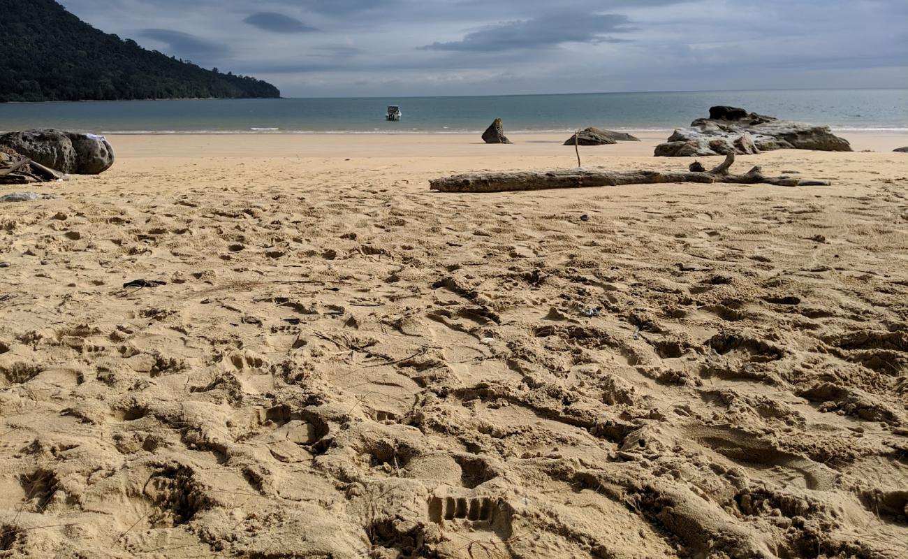 Photo de Telok Pasir Beach avec sable lumineux de surface