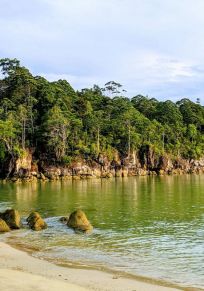 Île de Kalimantan