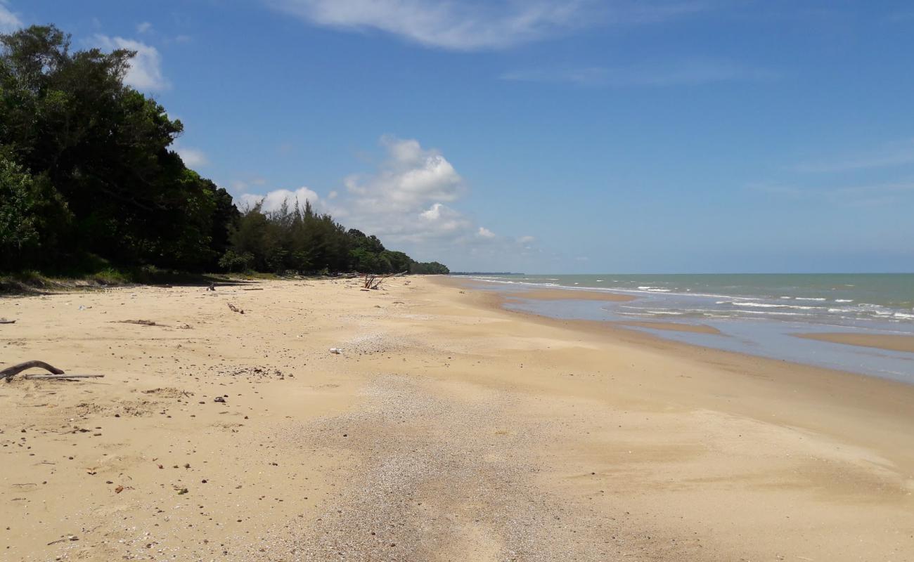 Photo de Peliau Beach avec sable beige de surface