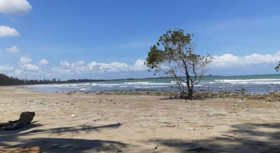 Tagupi Laut Beach