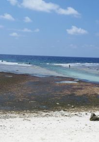 Île de Funaadu