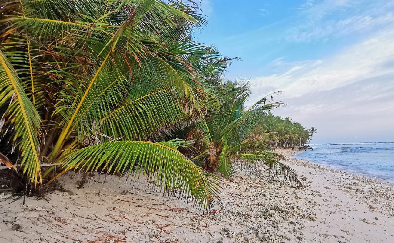 Photo de Nadallaa Beach avec sable beige de surface