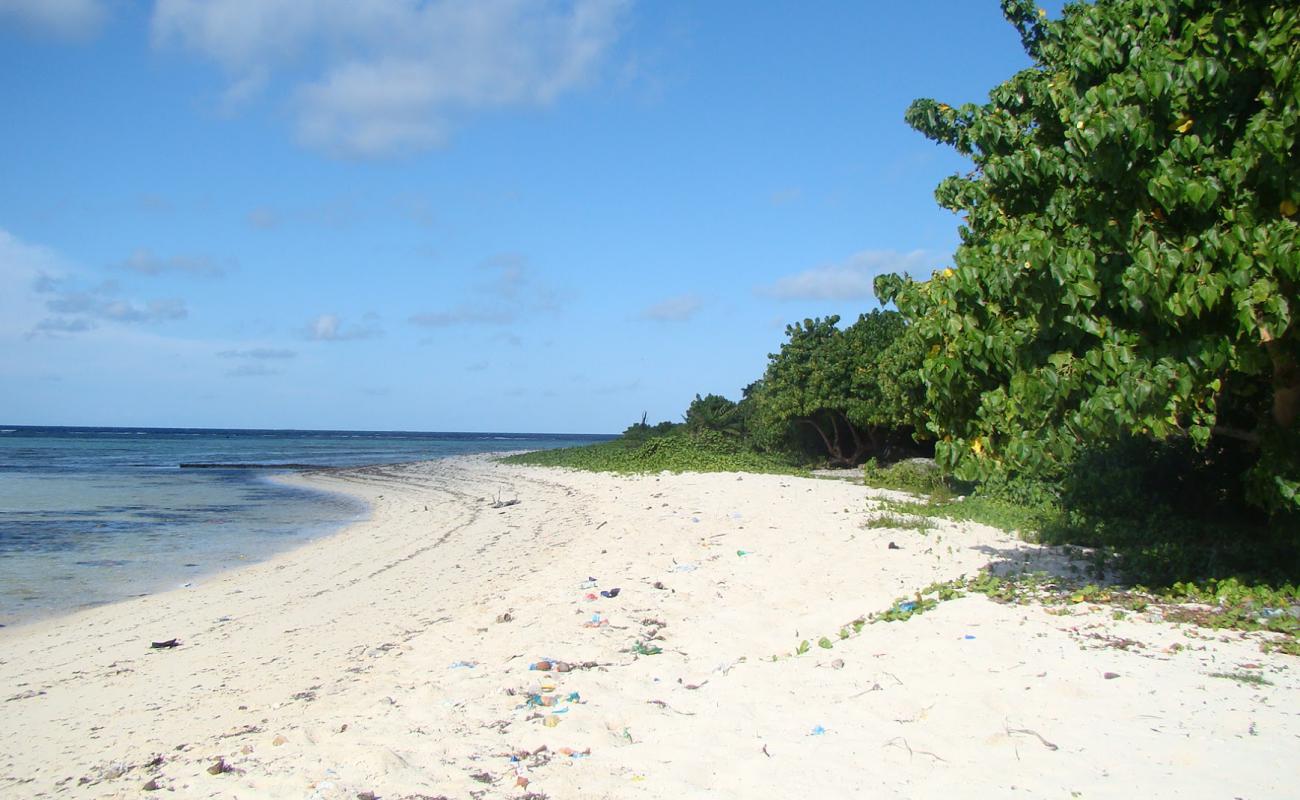 Photo de Valhagandaa Beach avec sable beige de surface