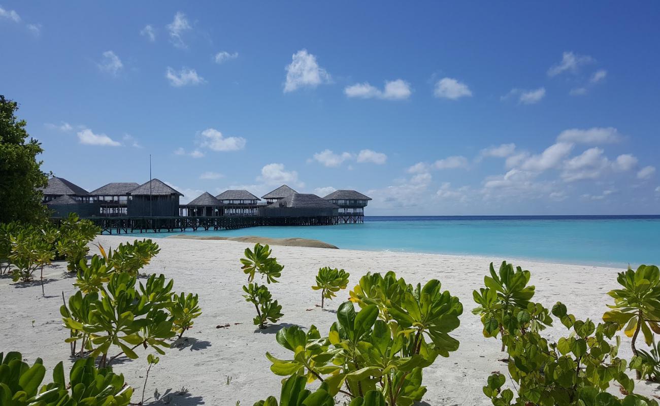 Photo de Plage de Six Senses Laamu avec sable blanc de surface