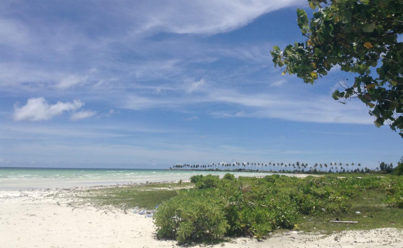 Photo de Kadhdhoo Beach avec sable beige de surface