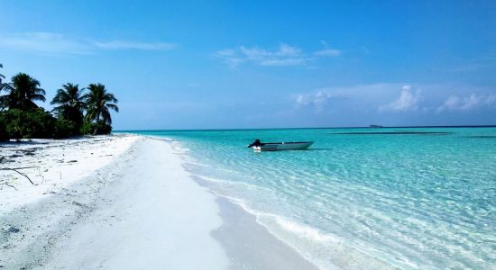 Plage de Kashidhoo