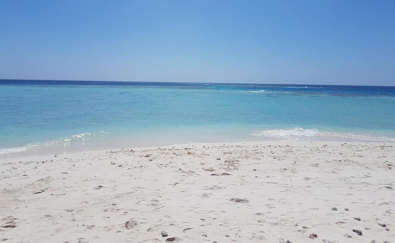 Photo de Magoodhoo Beach avec sable beige de surface