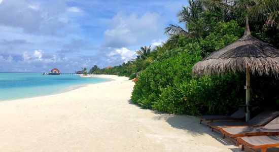 Plage de Maadhoo