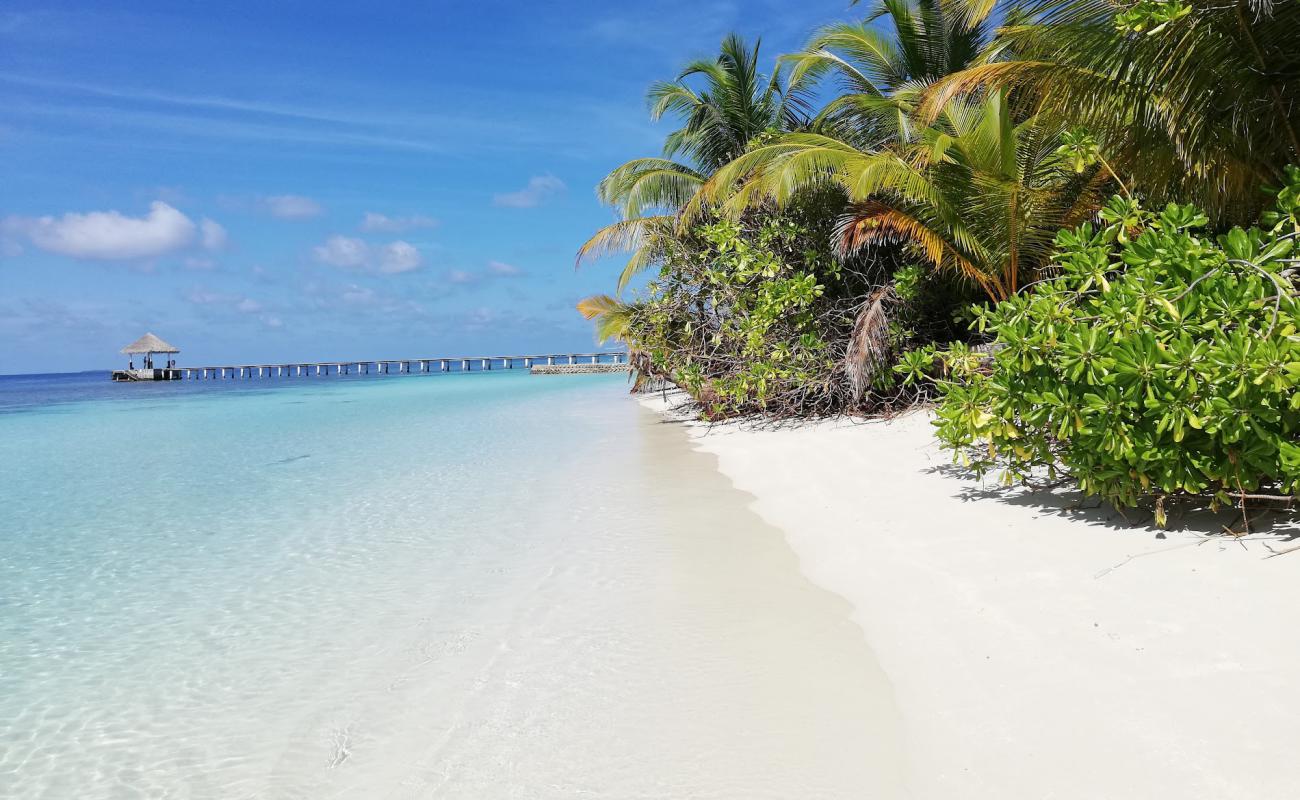 Photo de Velidhu Island Resort avec sable blanc de surface