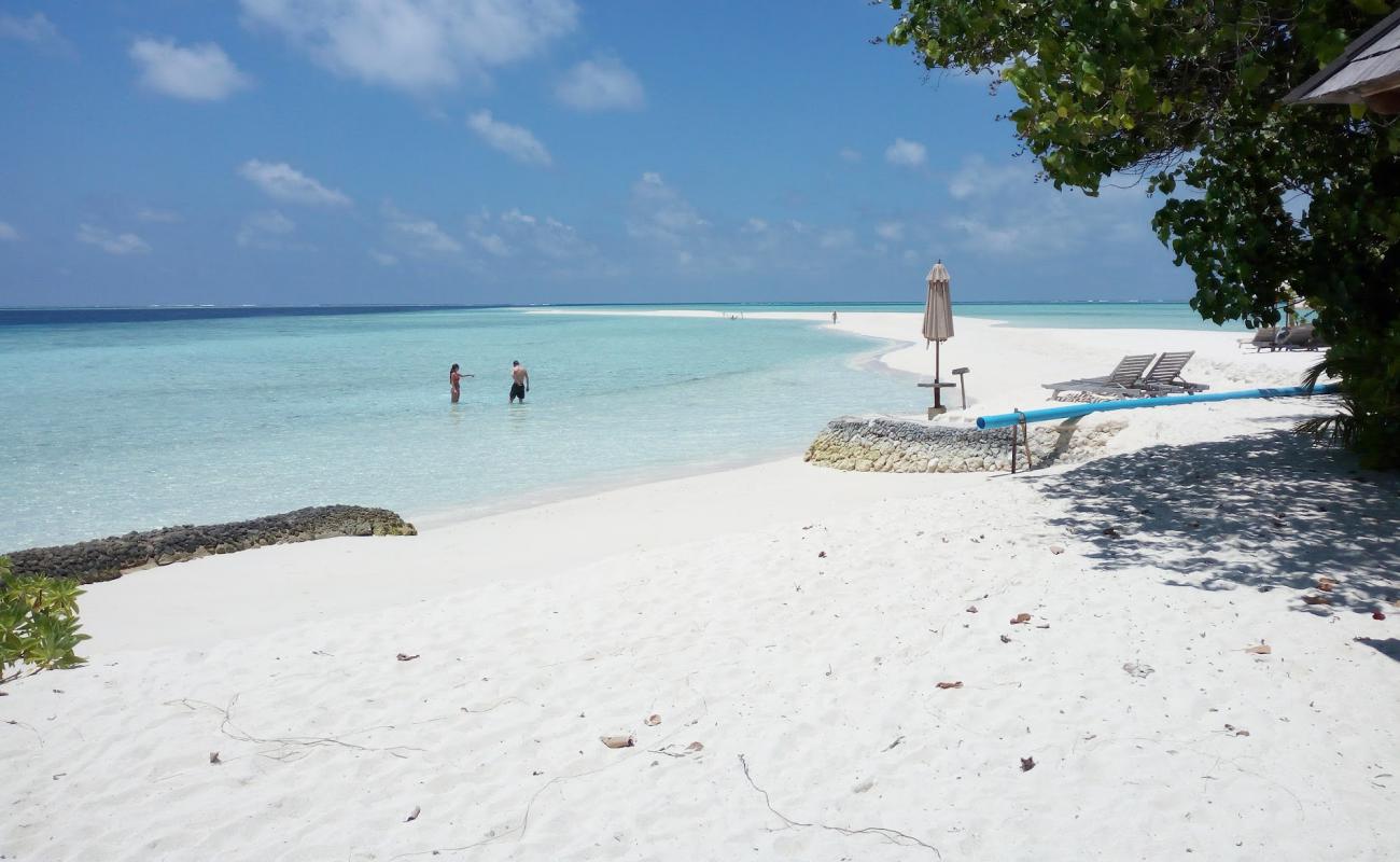 Photo de Gangehi Island Resort avec sable blanc de surface