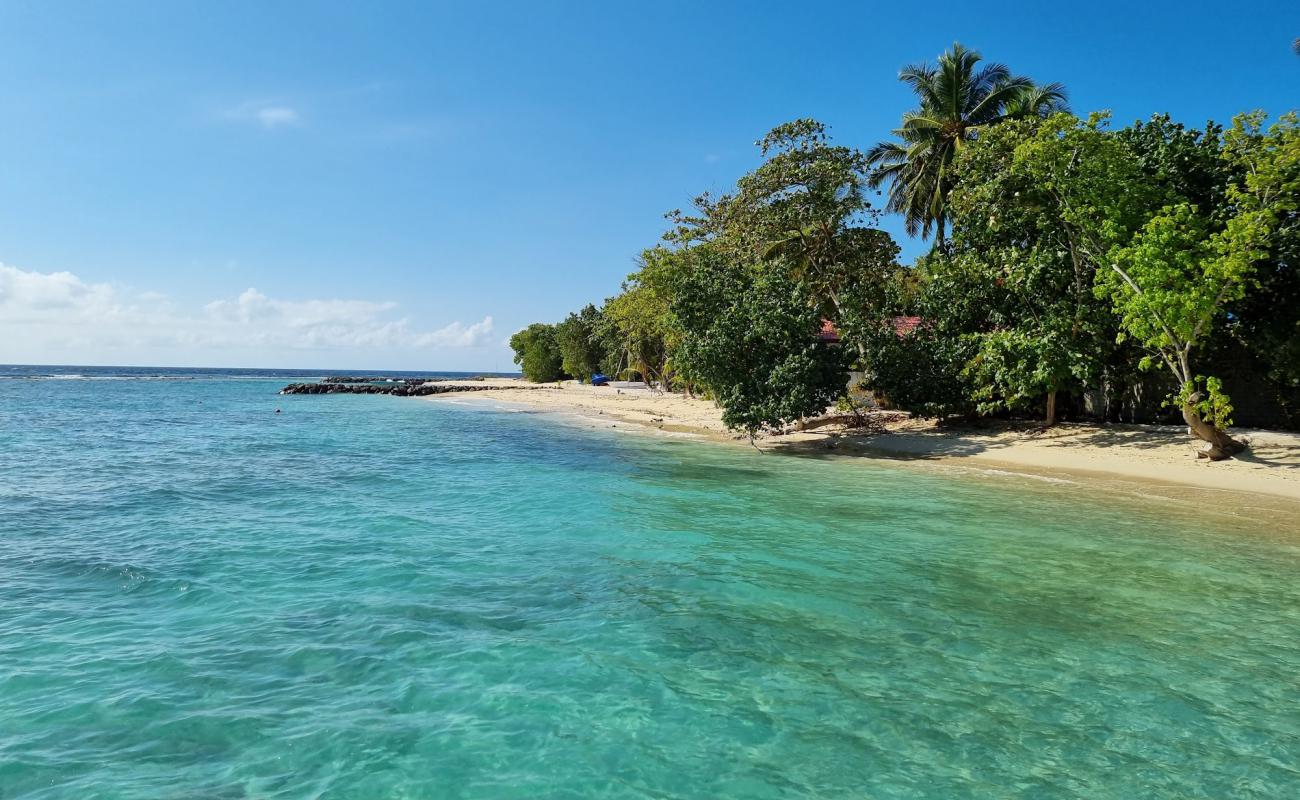 Photo de Rashdoo Beach avec sable lumineux de surface