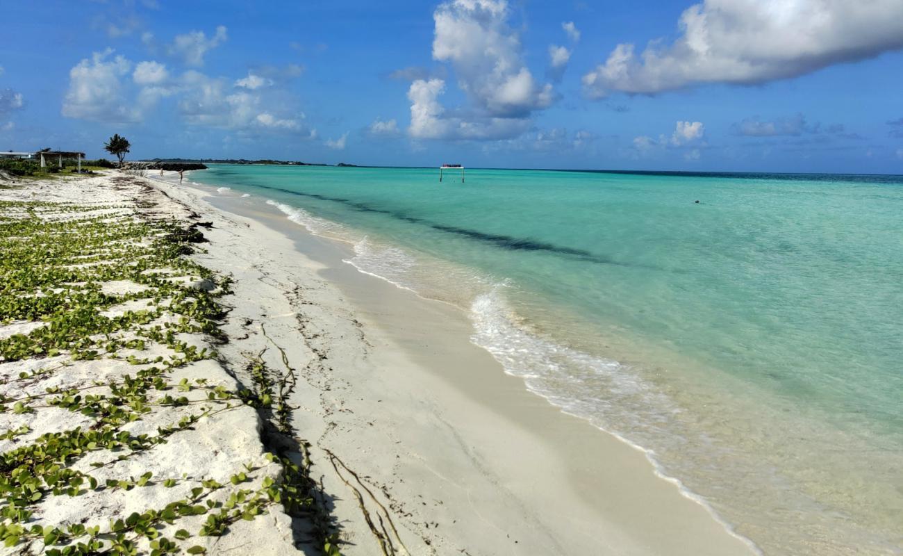 Photo de Dream Beach Thulusdhoo avec sable blanc de surface