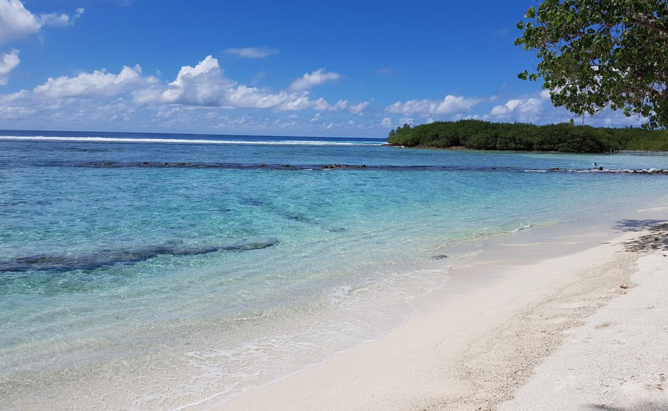 Photo de Canopus Retreat Thulusdhoo avec sable blanc de surface