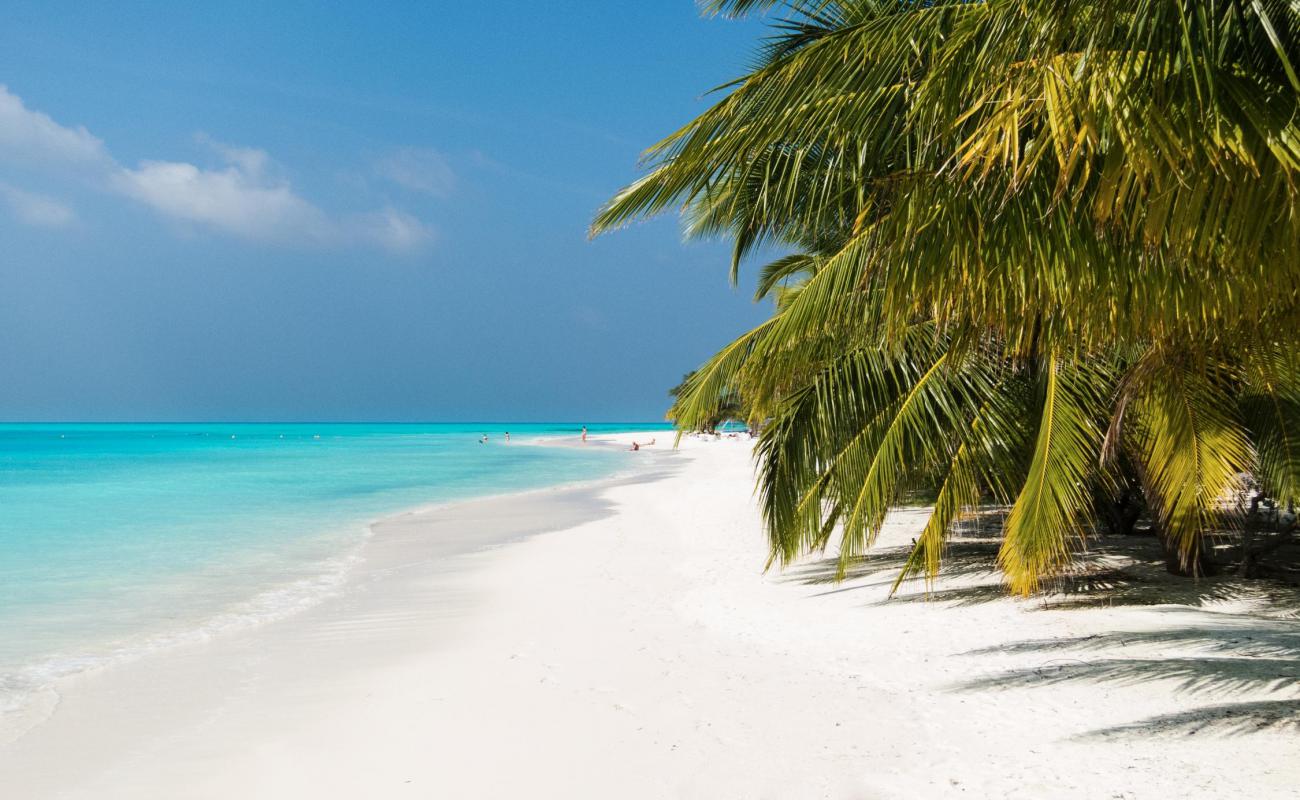 Photo de Meeru Island Resort avec sable blanc de surface