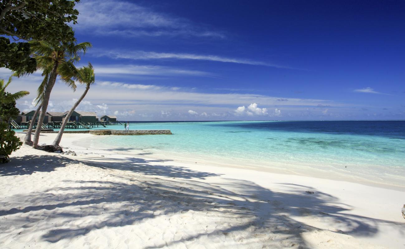 Photo de Plage Centara Ras Resort Fushi avec sable blanc de surface