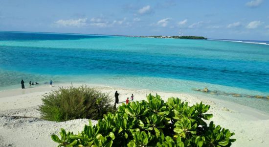 Velifaru island Beach