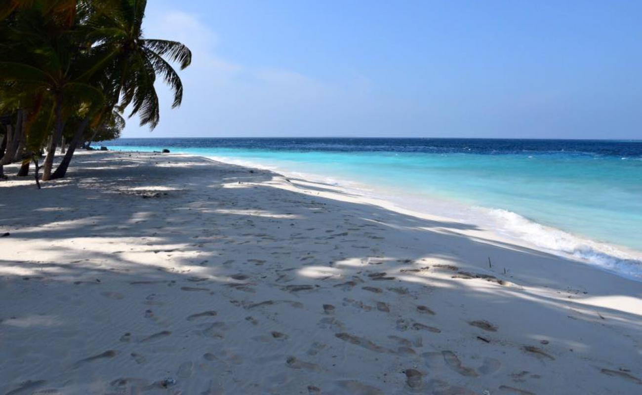 Photo de Guest Beach avec sable blanc de surface
