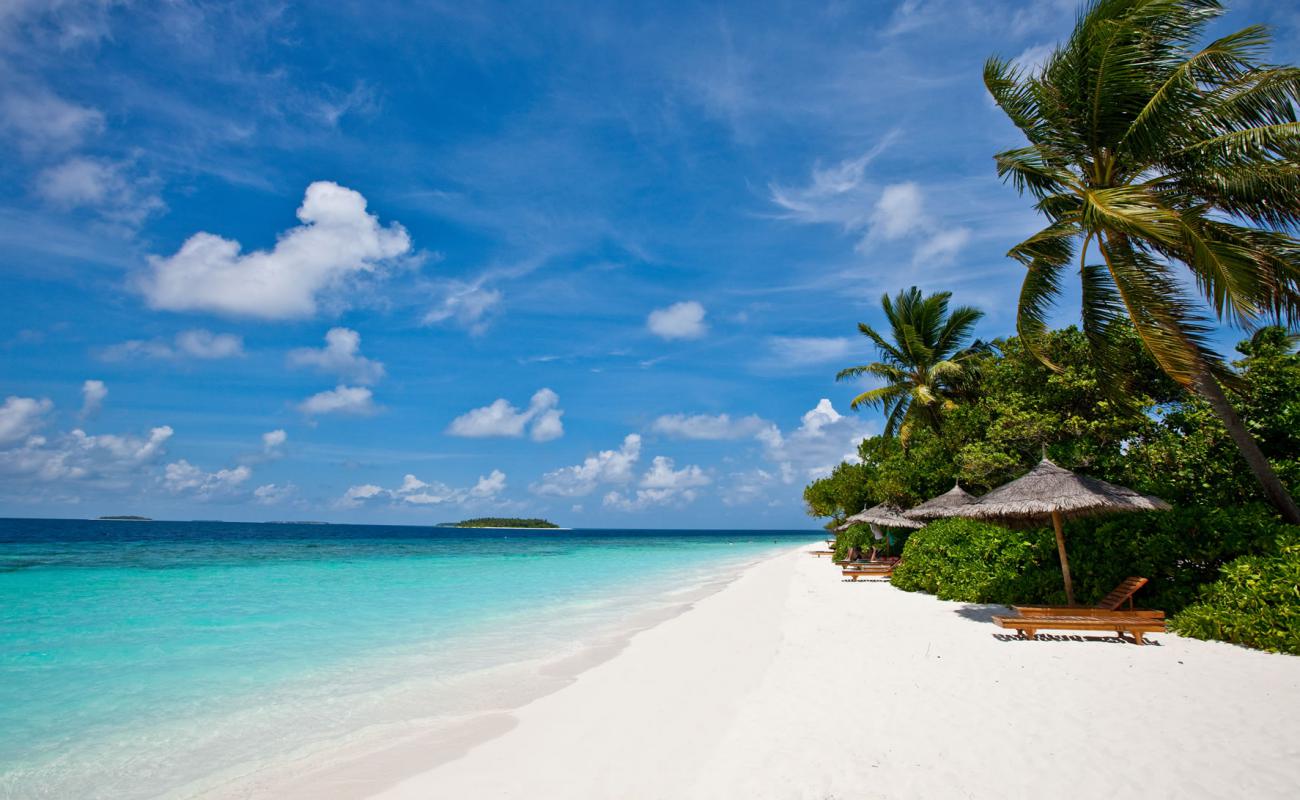 Photo de Plage de l'île de Fonimagoodhoo avec sable fin blanc de surface