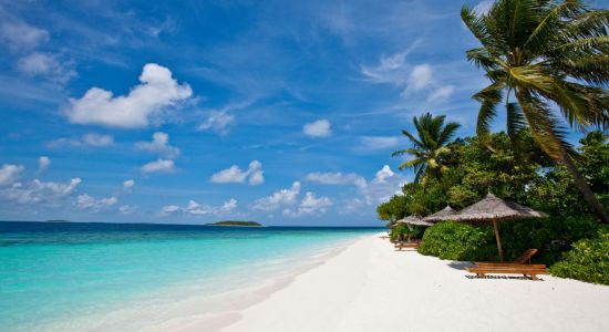 Plage de l'île de Fonimagoodhoo