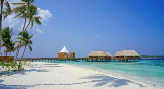 Plage de l'île Thiladhoo