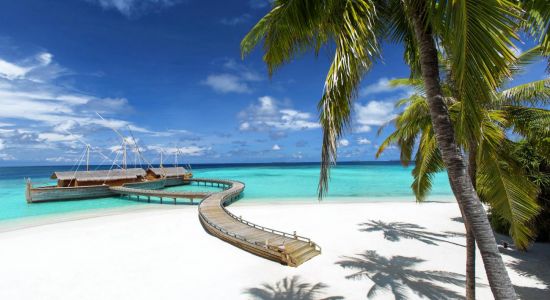 Plage de l'île de Milaidhoo