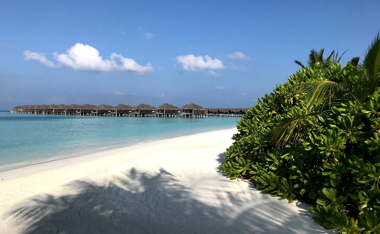 Photo de Plage de l'île Kihavah Huravalhi avec sable fin blanc de surface