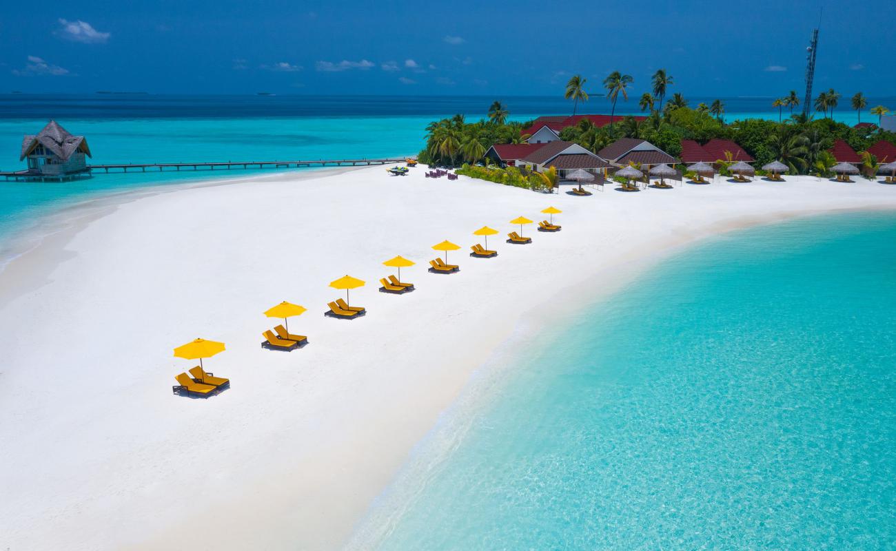 Photo de Plage de l'île Dhigufaru avec sable fin blanc de surface