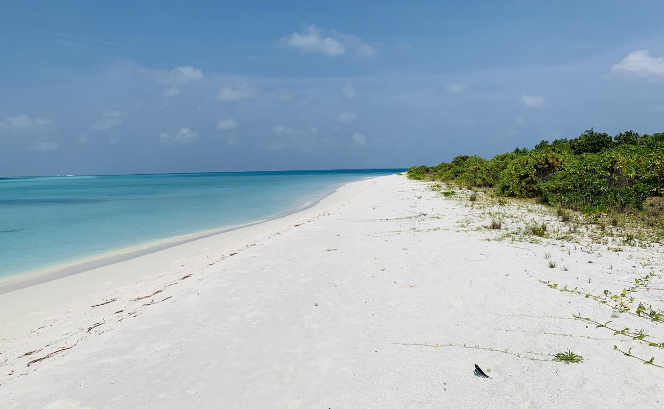 Photo de Fares Island Beach avec sable beige de surface