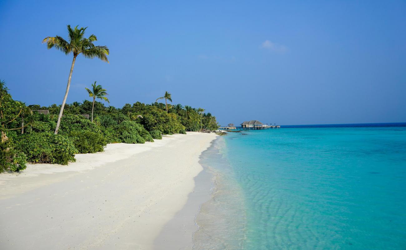 Photo de Plage de l'île de Vakkaru avec sable beige fin de surface