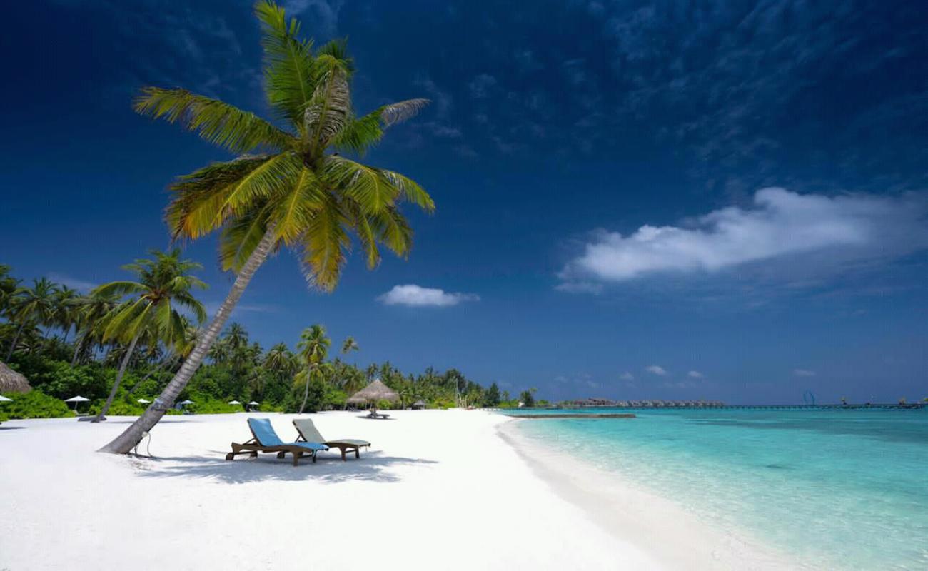 Photo de Plage de l'île Kanifushi avec sable beige de surface