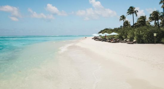 Plage de l'île Ookolhufinolhu