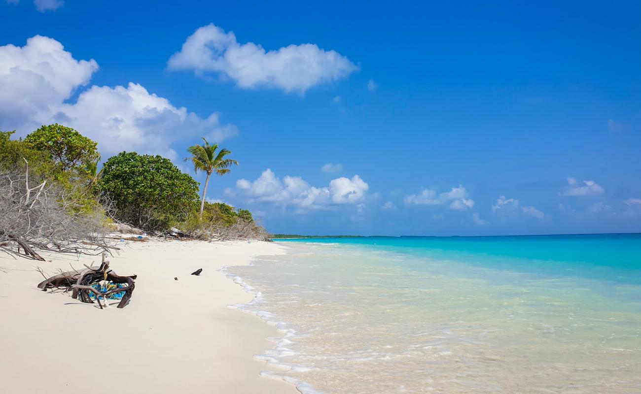 Photo de Dhiffushimaidhoo Island Beach avec sable beige de surface