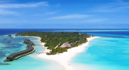 Plage de l'île de Kuredhdhoo