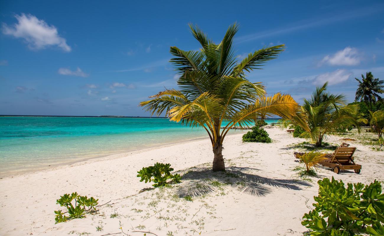 Photo de Plage de l'île Meedhupparu avec sable lumineux de surface