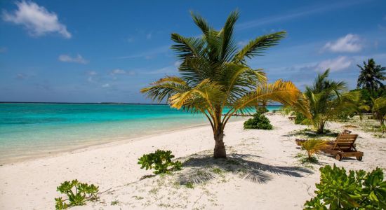 Plage de l'île Meedhupparu