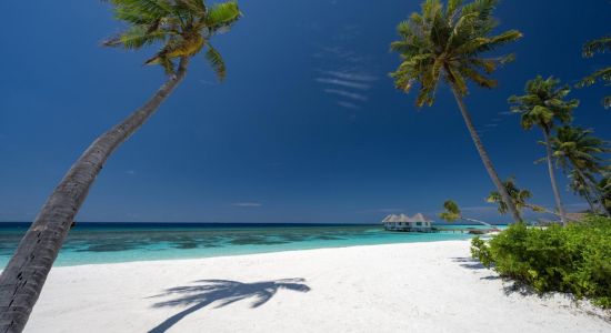 Plage de l'île du complexe Cora Cora Resort.