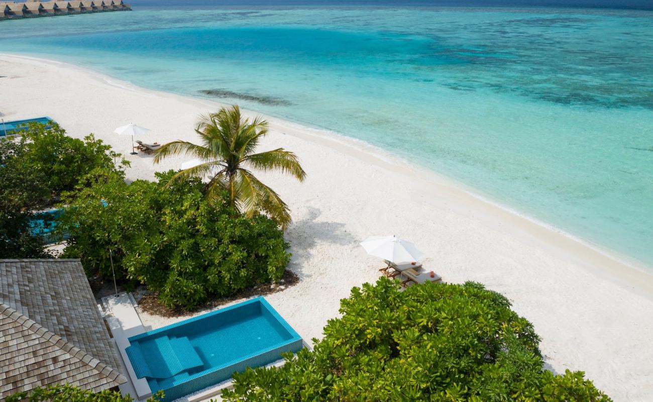 Photo de Faarufushi Resort island avec sable blanc de surface