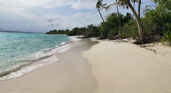 Raafushi Beach