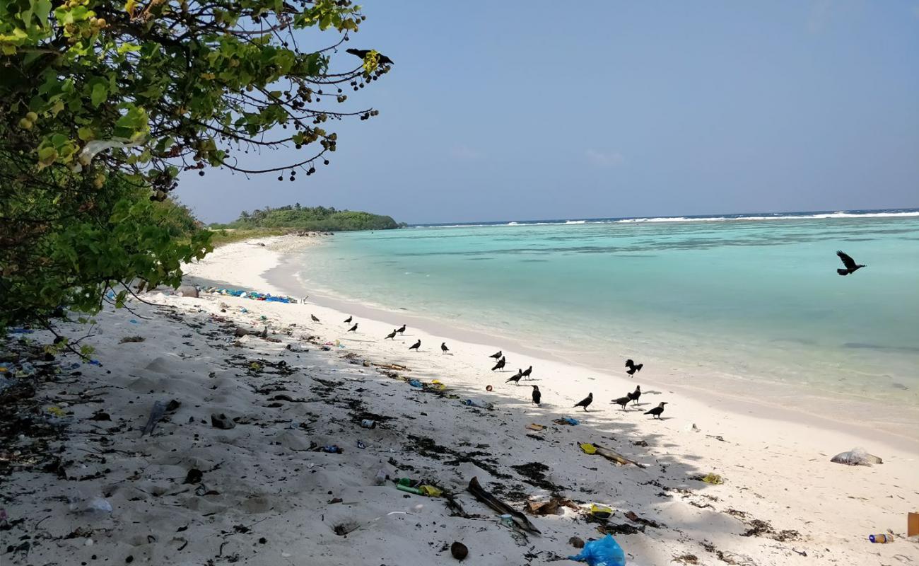 Photo de Nevi Manadhoo Beach avec sable beige de surface