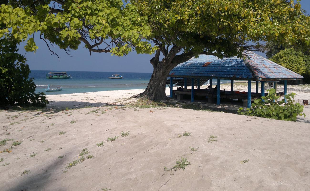 Photo de Nellaidhoo Beach avec sable lumineux de surface