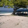 Nellaidhoo Beach