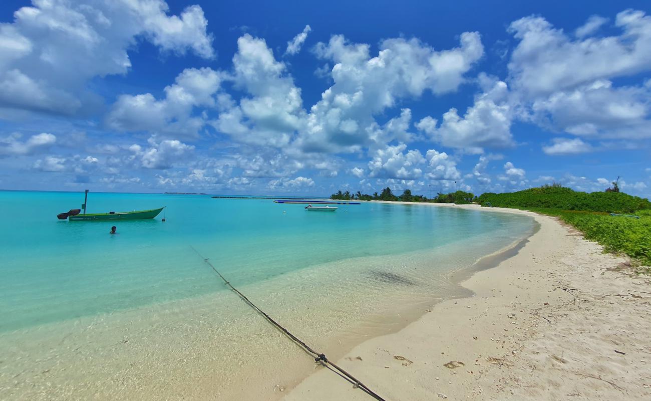 Photo de Dhidhoo beach avec sable beige de surface