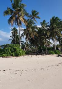 Atoll de Haa Alif