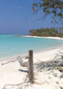 Atoll Haa Alifu