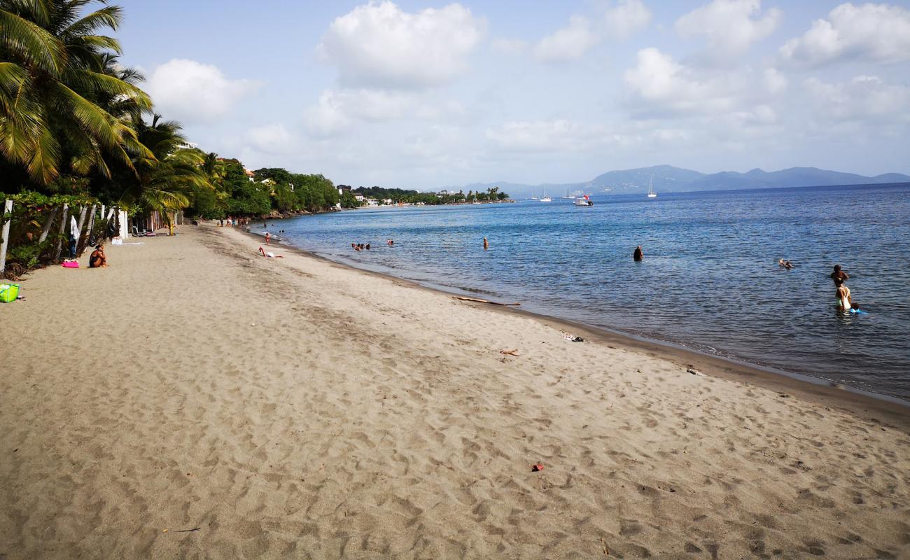 Photo de Plage de l'Anse Collat avec sable coquillé beige de surface