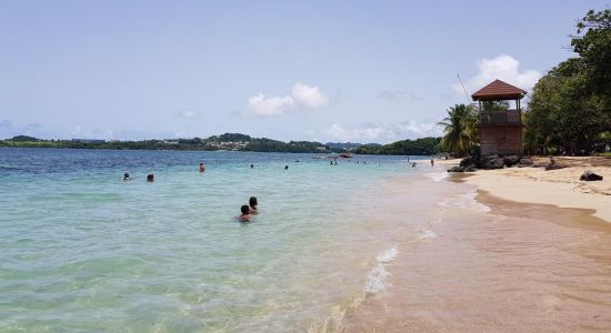 Plage de Trinité