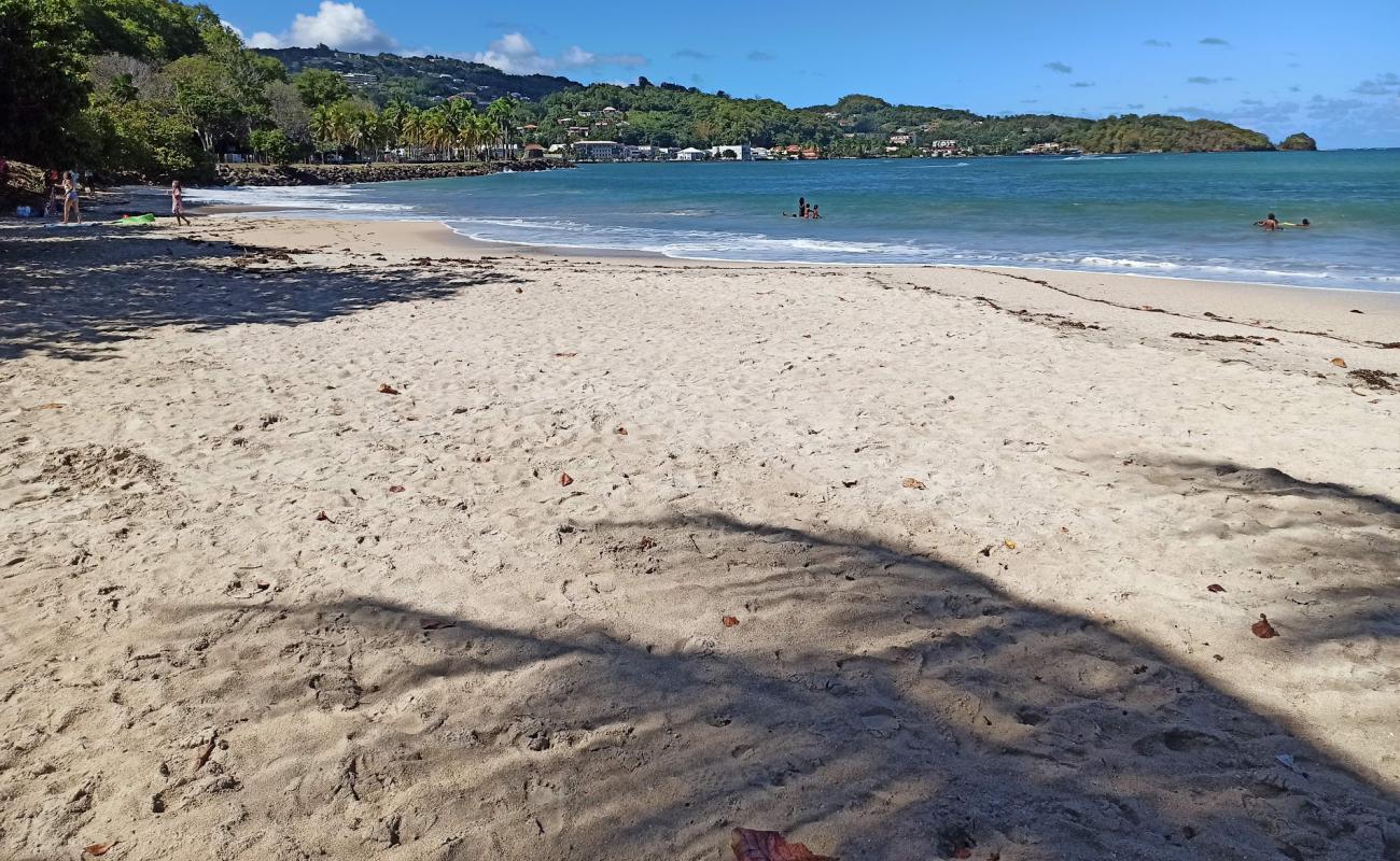 Photo de Plage des Raisiniers avec sable fin et lumineux de surface