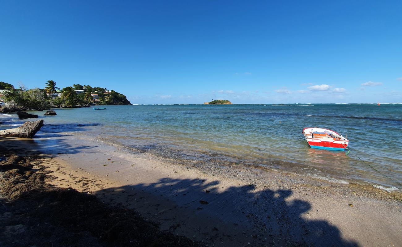 Photo de Le Manguier beach avec sable beige de surface