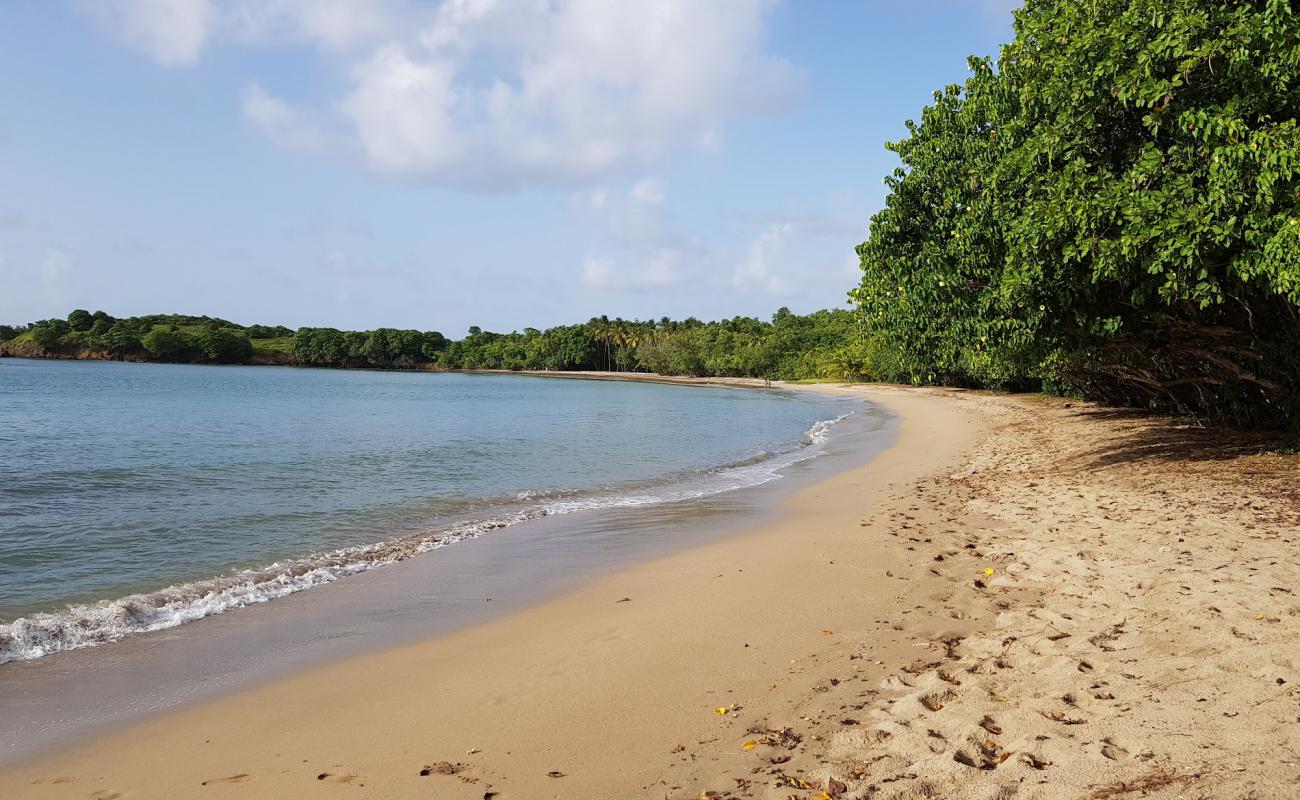 Photo de Plage de La Brèche avec sable beige fin de surface